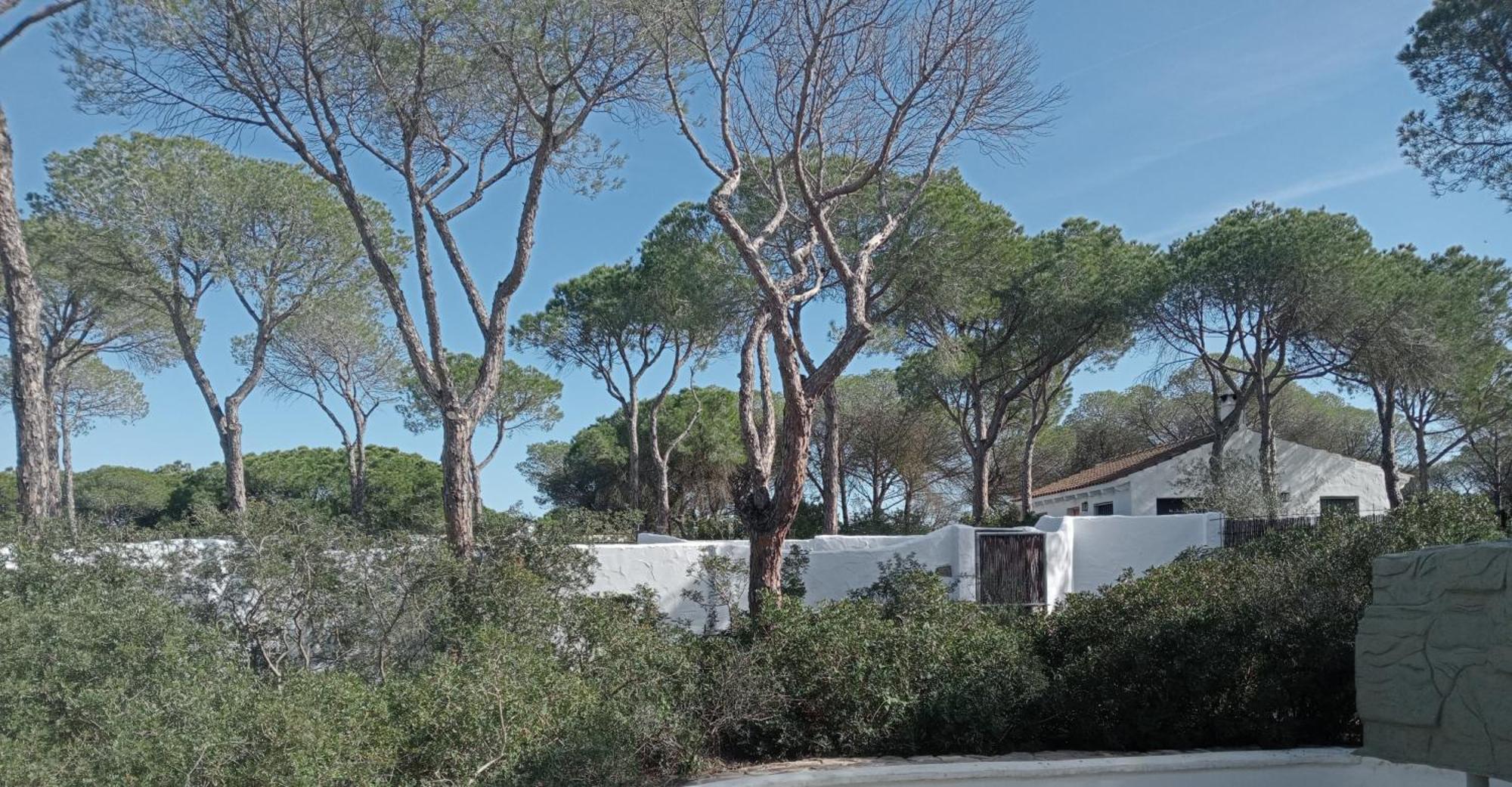 Villa Casa Palmito 2 Chiclana de la Frontera Exterior foto